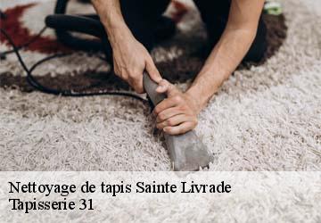 Nettoyage de tapis sainte-livrade-31530 Tapisserie 31