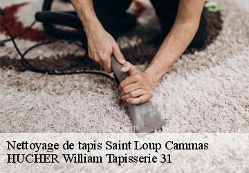 Nettoyage de tapis  saint-loup-cammas-31140 HUCHER William Tapisserie 31