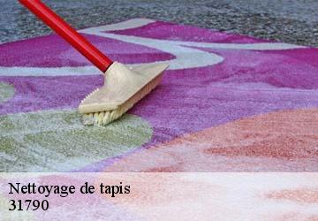 Nettoyage de tapis  saint-sauveur-31790 HUCHER William Tapisserie 31