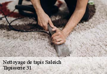Nettoyage de tapis saleich-31260 Tapisserie 31