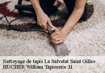 Nettoyage de tapis  la-salvetat-saint-gilles-31880 HUCHER William Tapisserie 31