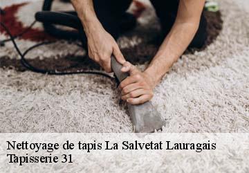 Nettoyage de tapis  la-salvetat-lauragais-31460 Tapisserie 31