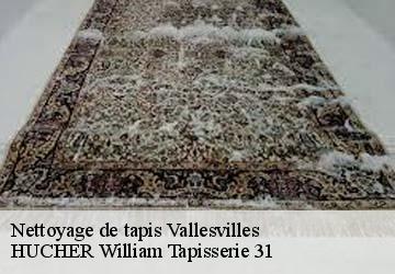 Nettoyage de tapis  vallesvilles-31570 HUCHER William Tapisserie 31