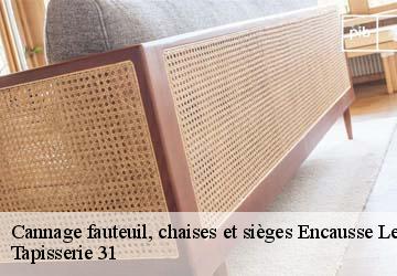 Cannage fauteuil, chaises et sièges encausse-les-thermes-31160 Tapisserie 31