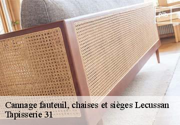 Cannage fauteuil, chaises et sièges lecussan-31580 Tapisserie 31