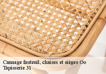 Cannage fauteuil, chaises et sièges  oo-31110 Tapisserie 31