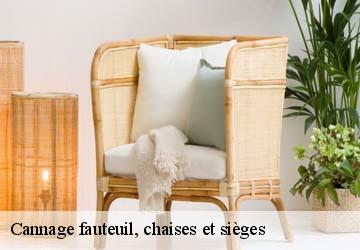 Cannage fauteuil, chaises et sièges pointis-inard-31800 Tapisserie 31