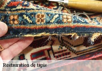 Restauration de tapis  ayguesvives-31450 HUCHER William Tapisserie 31