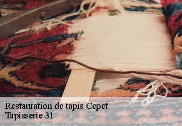 Restauration de tapis cepet-31620 Tapisserie 31