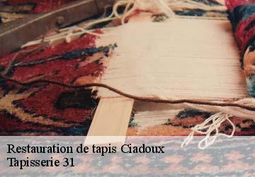 Restauration de tapis ciadoux-31350 Tapisserie 31