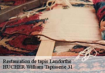 Restauration de tapis  landorthe-31800 HUCHER William Tapisserie 31