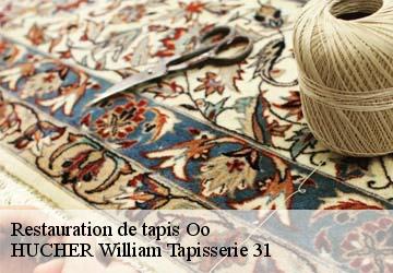 Restauration de tapis  oo-31110 HUCHER William Tapisserie 31