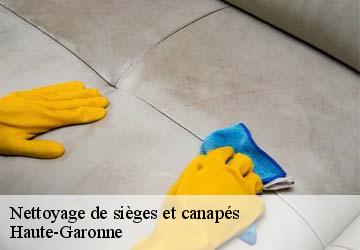 Nettoyage de sièges et canapés 31 Haute-Garonne Tapisserie 31