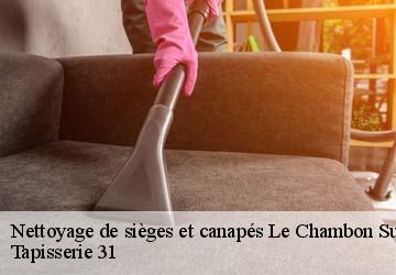 Nettoyage de sièges et canapés  le-chambon-sur-lignon-43400 Tapisserie 31
