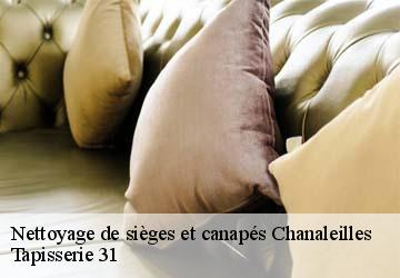 Nettoyage de sièges et canapés  chanaleilles-43170 Tapisserie 31