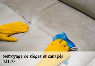 Nettoyage de sièges et canapés  saugues-43170 Tapisserie 31