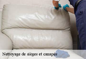 Nettoyage de sièges et canapés  bourg-d-oueil-31110 HUCHER William Tapisserie 31