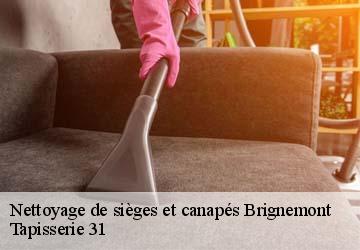 Nettoyage de sièges et canapés  brignemont-31480 Tapisserie 31