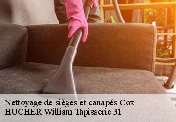 Nettoyage de sièges et canapés  cox-31480 HUCHER William Tapisserie 31