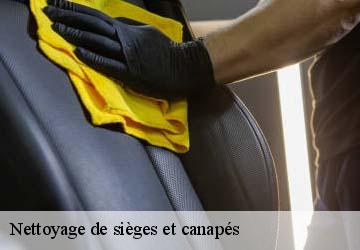 Nettoyage de sièges et canapés  gagnac-sur-garonne-31150 HUCHER William Tapisserie 31